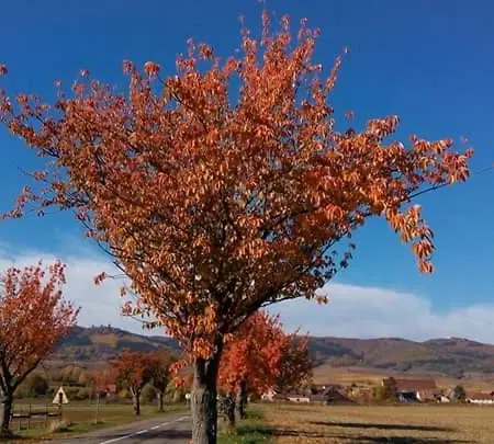 Le Cosy Au Coeur Du Vignoble, *